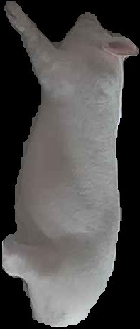 Crop