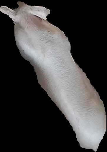 Crop