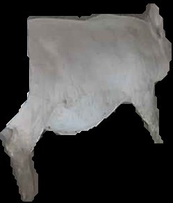 Crop