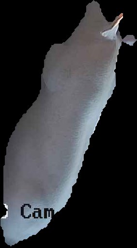 Crop