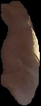 Crop