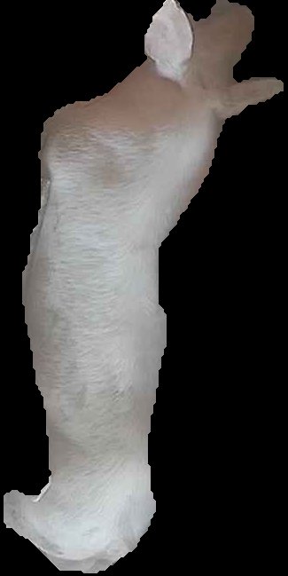 Crop