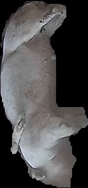 Crop