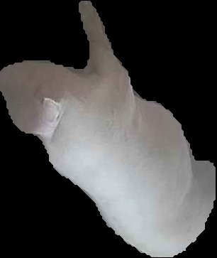 Crop