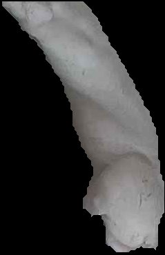 Crop