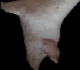 Crop