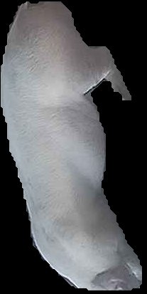 Crop