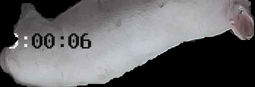 Crop