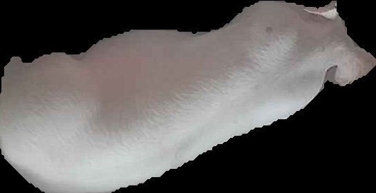 Crop