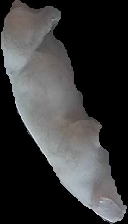 Crop