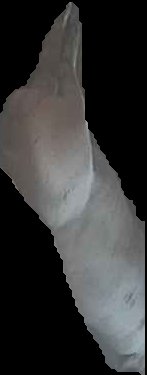 Crop