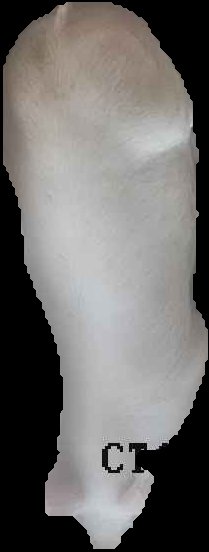 Crop
