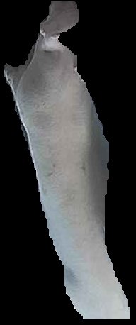 Crop