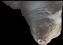Crop