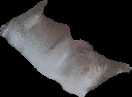 Crop