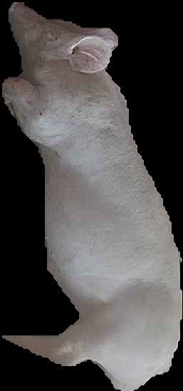 Crop