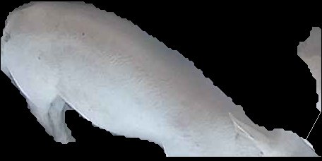 Crop