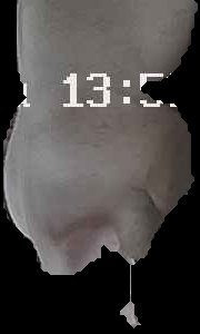 Crop
