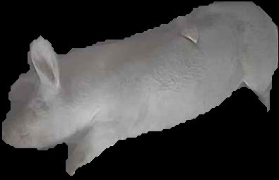 Crop