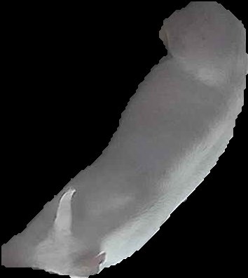 Crop