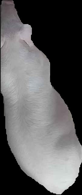 Crop