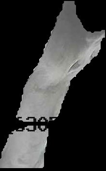 Crop