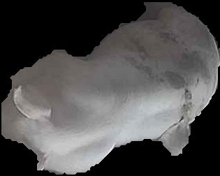 Crop