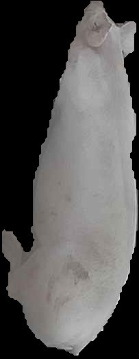 Crop