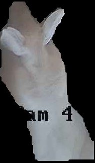 Crop