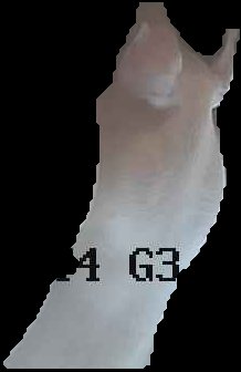 Crop