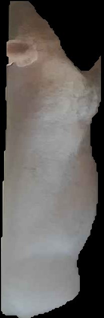 Crop