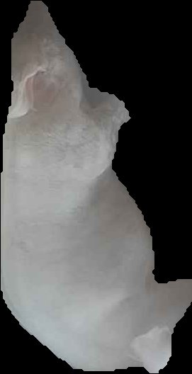 Crop