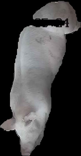Crop