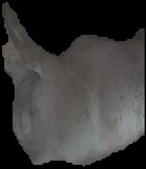 Crop