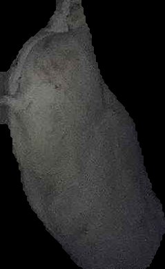Crop