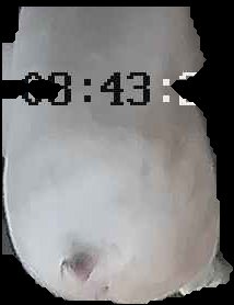 Crop