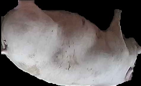 Crop