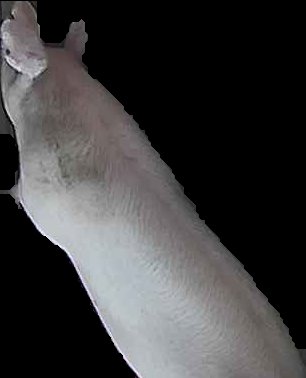 Crop