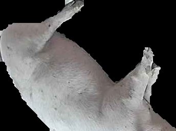 Crop