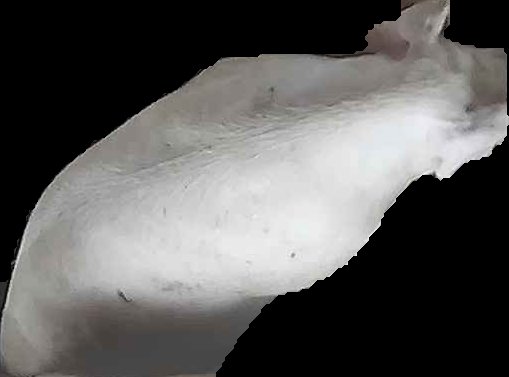 Crop