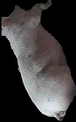 Crop