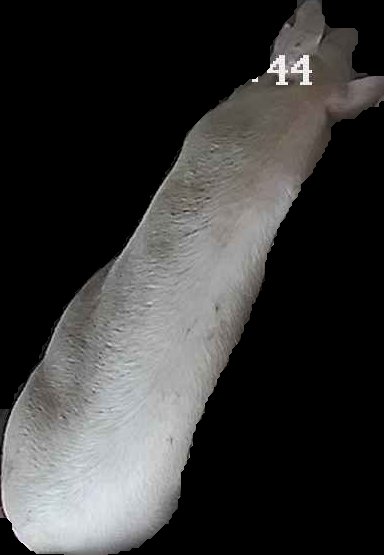 Crop