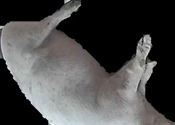 Crop