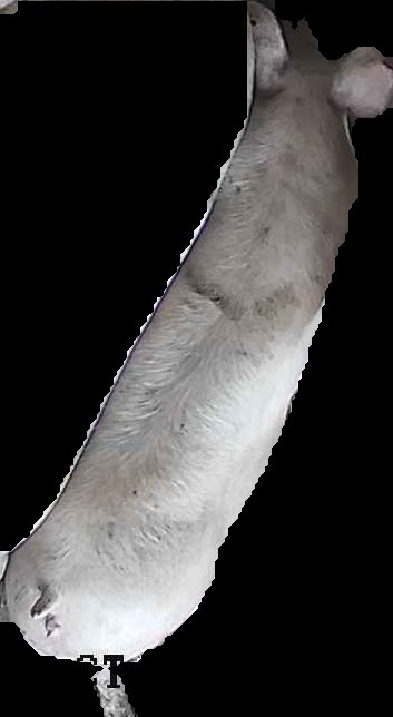 Crop