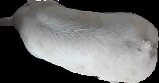 Crop