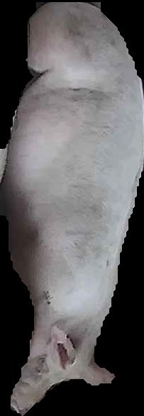 Crop