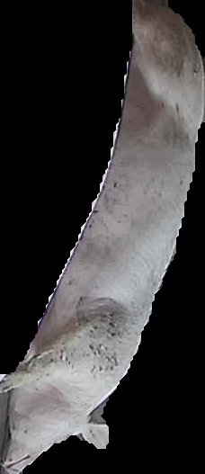 Crop