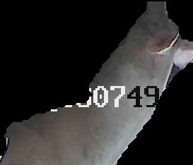 Crop