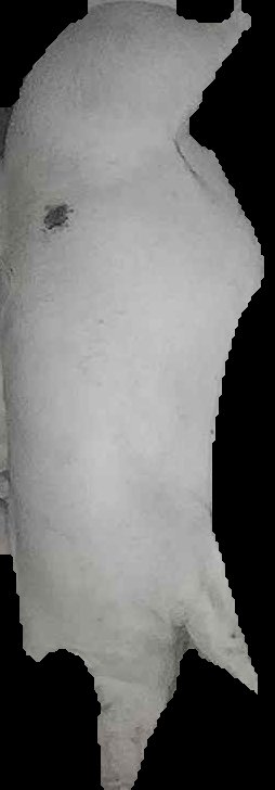 Crop