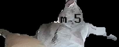 Crop